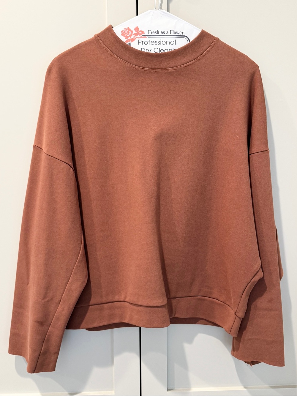 Women's Boxy Crewneck Sweatshirt in Rust Brown